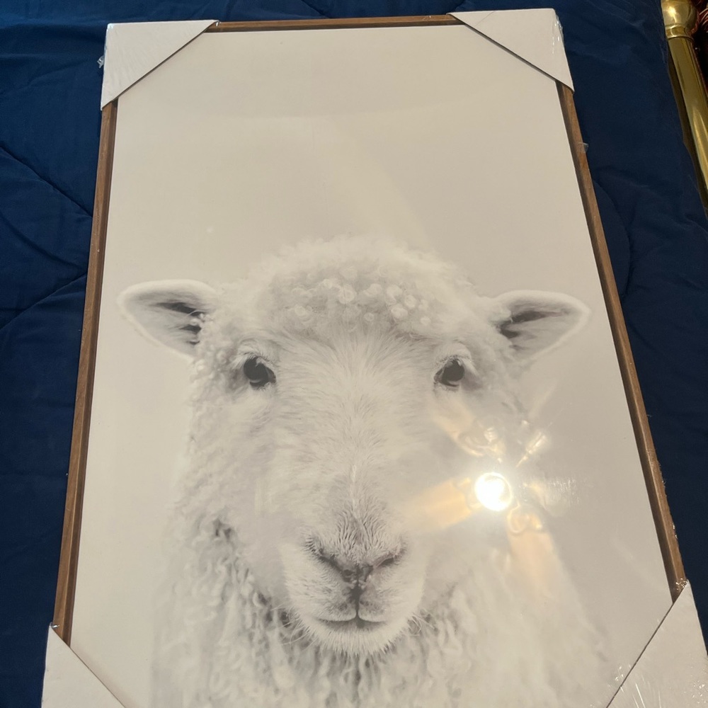 Canvas painting